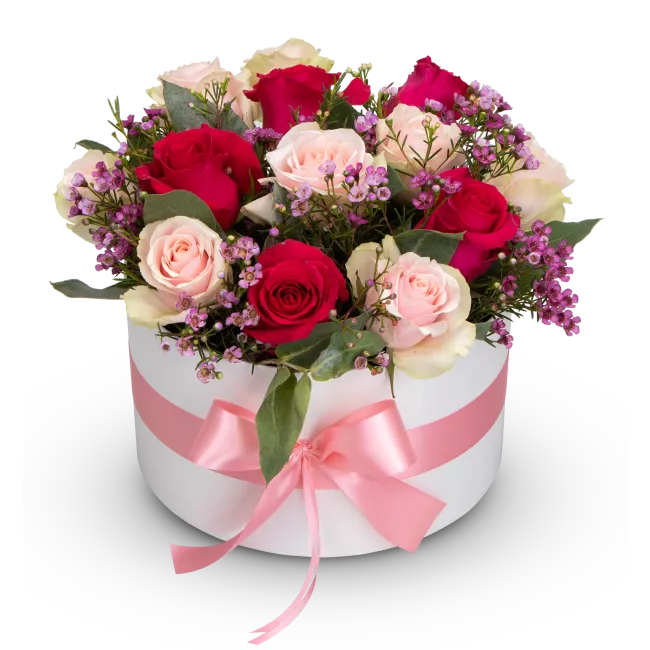 Box of pink roses